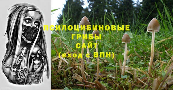 кокаин премиум Козловка