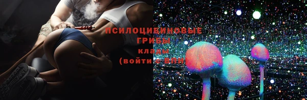 mdpv Козельск