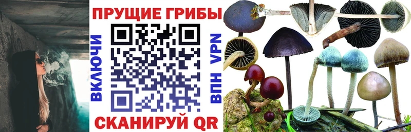 Галлюциногенные грибы MAGIC MUSHROOMS Горбатов
